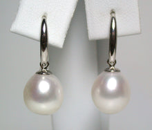 Load image into Gallery viewer, Stylist 10x11mm white freshwater pearl &amp; sterling silver earrings