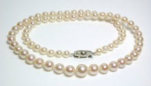 Load image into Gallery viewer, 5-8.5mm Akoya pearl necklace &amp; 9ct white gold diamond clasp