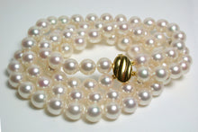Load image into Gallery viewer, Stunning double 8.5-9mm Akoya pearl &amp; 9ct yellow gold necklace