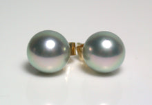 Load image into Gallery viewer, 7.5-8mm silver-blue Japanese Akoya pearl &amp; 9 carat gold earrings