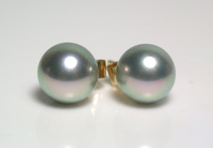 7.5-8mm silver-blue Japanese Akoya pearl & 9 carat gold earrings