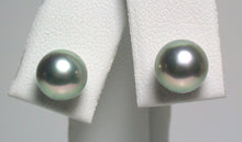 Load image into Gallery viewer, 7.5-8mm silver-blue Japanese Akoya pearl &amp; 9 carat gold earrings