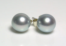 Load image into Gallery viewer, 7.5-8mm silver-blue Japanese Akoya pearl &amp; 9 carat gold earrings