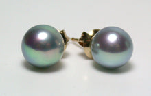 Load image into Gallery viewer, 8mm silver-blue Japanese Akoya pearl &amp; 14 carat gold earrings