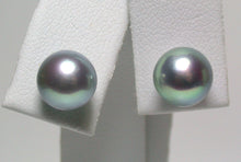 Load image into Gallery viewer, 8mm silver-blue Japanese Akoya pearl &amp; 14 carat gold earrings