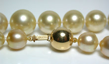 Load image into Gallery viewer, 9-13mm AA+ Golden South Sea pearl &amp; 18ct gold necklace