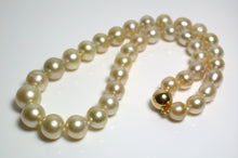 Load image into Gallery viewer, 9-13mm AA+ Golden South Sea pearl &amp; 18ct gold necklace