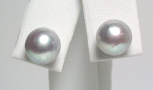 Load image into Gallery viewer, 8.5-9mm silver-grey freshwater pearl &amp; sterling silver earrings