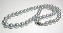 Load image into Gallery viewer, 8-8.5mm silver-blue Akoya pearl necklace &amp; 9ct white gold clasp