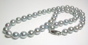 8-8.5mm silver-blue Akoya pearl necklace & 9ct white gold clasp