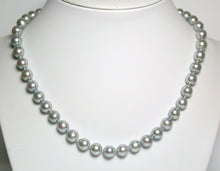 Load image into Gallery viewer, 8-8.5mm silver-blue Akoya pearl necklace &amp; 9ct white gold clasp