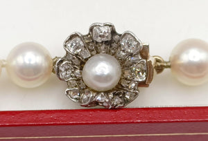 6-6.5mm Akoya pearl necklace with antique diamond & pearl clasp