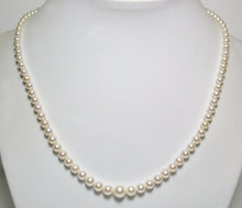 Load image into Gallery viewer, Vintage Mikimoto cultured Akoya pearl &amp; silver necklace in original box