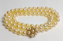 Load image into Gallery viewer, 6.5-7mm golden Akoya necklace &amp; 9ct gold pearl-set clasp