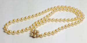6.5-7mm golden Akoya necklace & 9ct gold pearl-set clasp