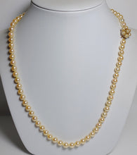 Load image into Gallery viewer, 6.5-7mm golden Akoya necklace &amp; 9ct gold pearl-set clasp
