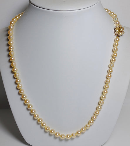 6.5-7mm golden Akoya necklace & 9ct gold pearl-set clasp