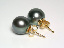 Load image into Gallery viewer, 9.7mm blue/green overtone Tahitian pearl &amp; 18 carat gold earrings