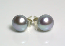 Load image into Gallery viewer, 7-7.5mm silver-grey freshwater pearl &amp; 9 carat gold earrings