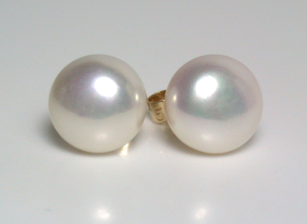 8.5-9mm white pearl & 9 carat gold earrings