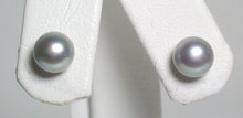 Load image into Gallery viewer, 7-7.5mm silver-grey freshwater pearl &amp; 9 carat gold earrings