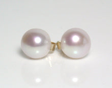Load image into Gallery viewer, 7.5mm white freshwater pearl &amp; 9 carat gold earrings