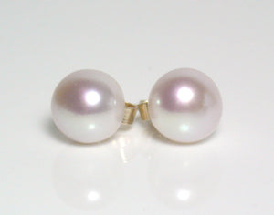 7.5mm white freshwater pearl & 9 carat gold earrings