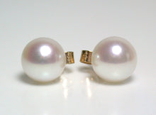 Load image into Gallery viewer, 7.5-8mm white Japanese Akoya pearl &amp; 9 carat gold earrings