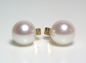 7.5-8mm white Japanese Akoya pearl & 9 carat gold earrings