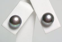 Load image into Gallery viewer, 8-8.5mm black freshwater pearl &amp; 9ct white gold earrings