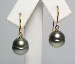 10x11mm peacock Tahitian pearl & 9ct gold earrings