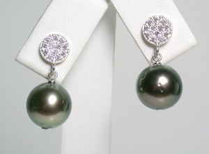 10mm peacock Tahitian pearl & sterling silver earrings
