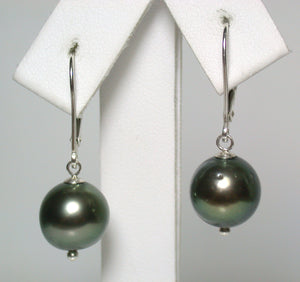 10mm peacock Tahitian pearl & sterling silver earrings